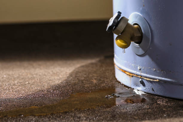 Best Commercial water damage restoration  in Dayton, NJ