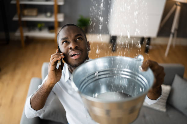 Best Mold removal after water damage  in Dayton, NJ