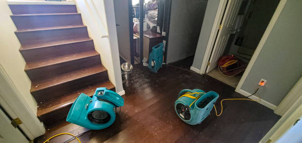 Carpet water damage restoration in Dayton, NJ