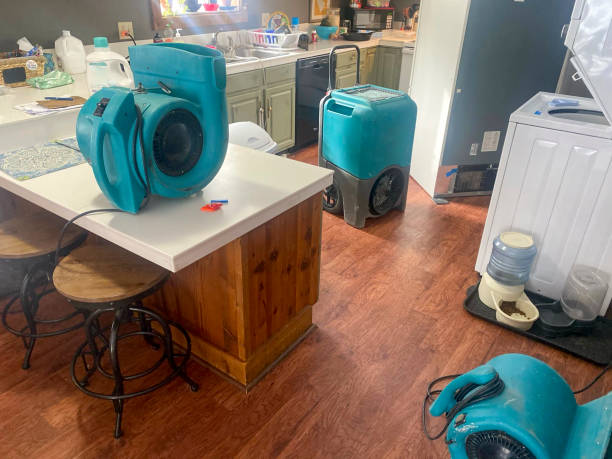Best Basement water damage restoration  in Dayton, NJ