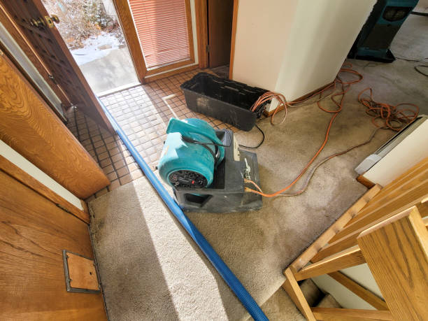  Dayton, NJ Water damage restoration Pros