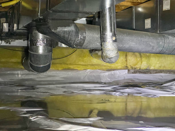 Best Carpet water damage restoration  in Dayton, NJ