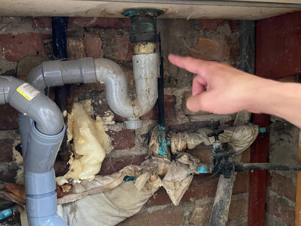 Best Sewage cleanup and water damage restoration  in Dayton, NJ